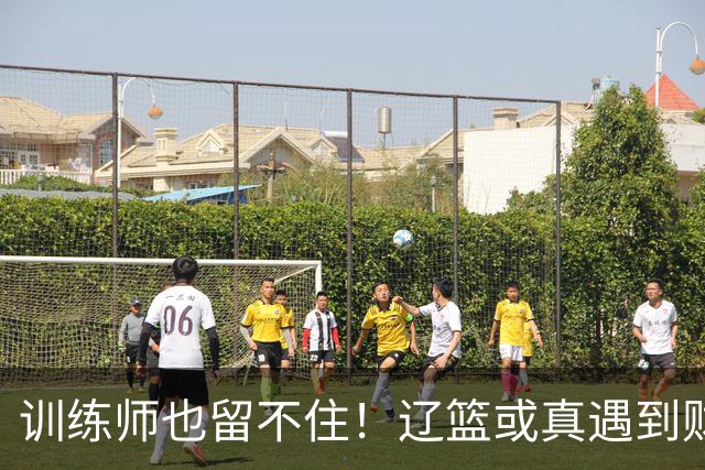 训练师也留不住！辽篮或真遇到财务危机，赵继伟付豪也不是不能卖